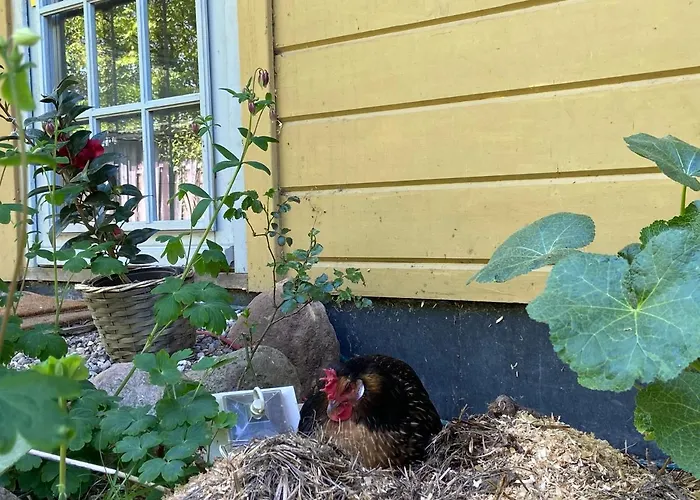 公寓 Seeblockhaus Bosau